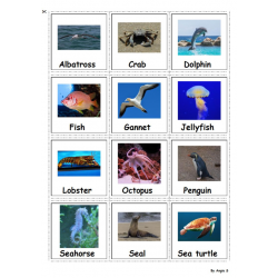 Ocean Animals Vocabulary Cards, Pecs